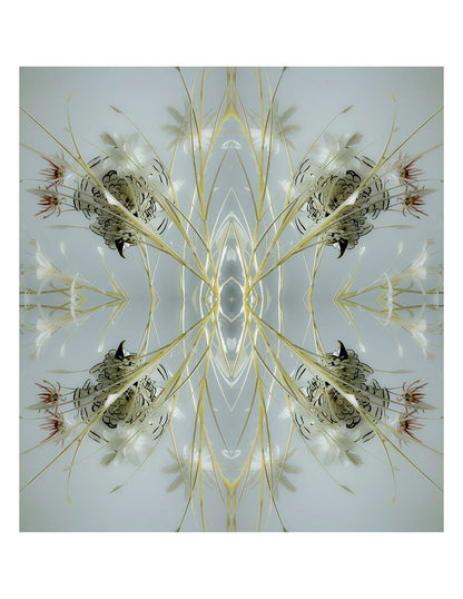 Feather Veil