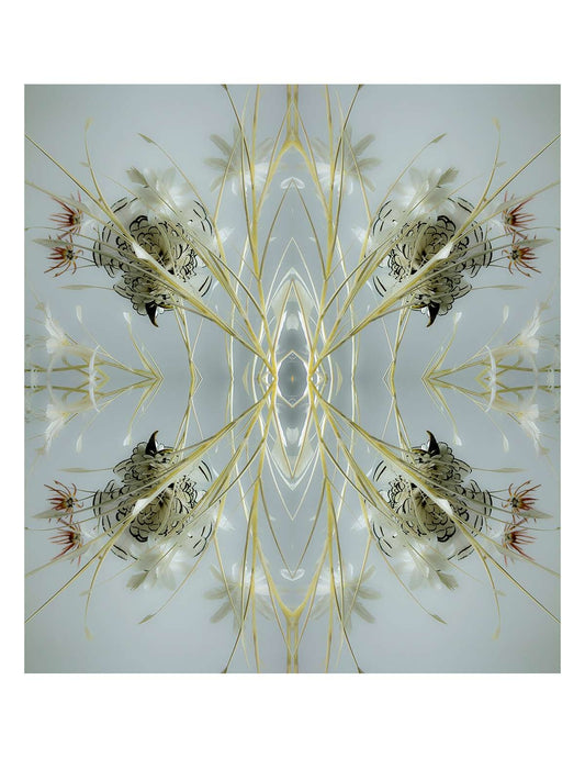 Organic Abstract 30