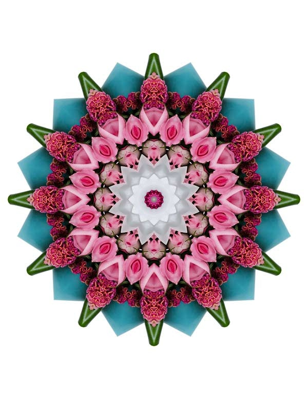 Open Flora - Fractalis 30