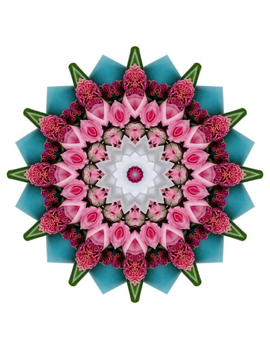 Open Flora - Fractalis 30