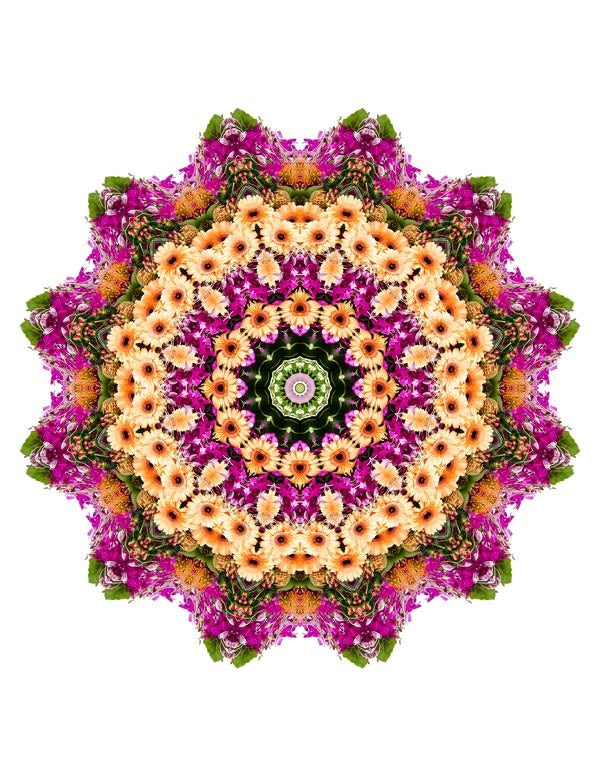 Open Flora - Fractalis 31