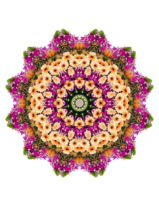 Open Flora - Fractalis 31