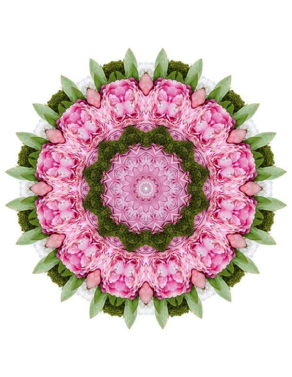Open Flora - Fractalis 32