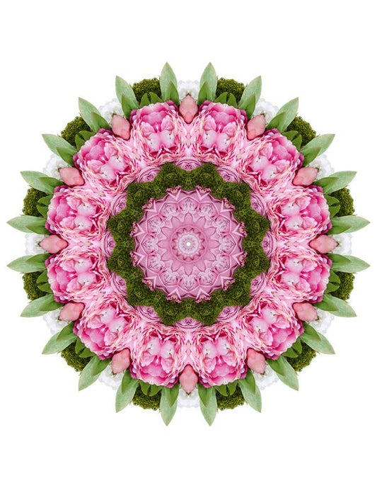Open Flora - Fractalis 32