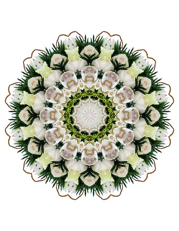 Open Flora - Fractalis 33