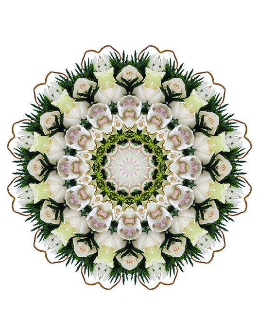 Open Flora - Fractalis 33
