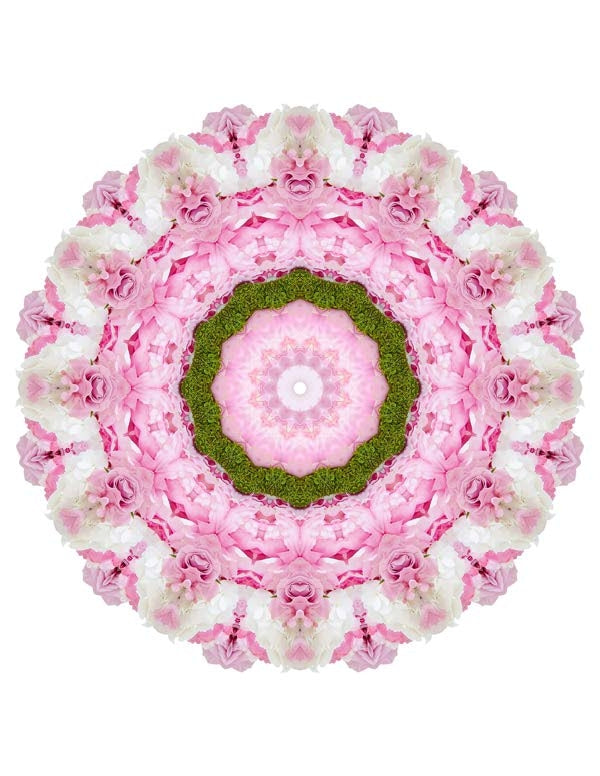 Open Flora - Fractalis 34