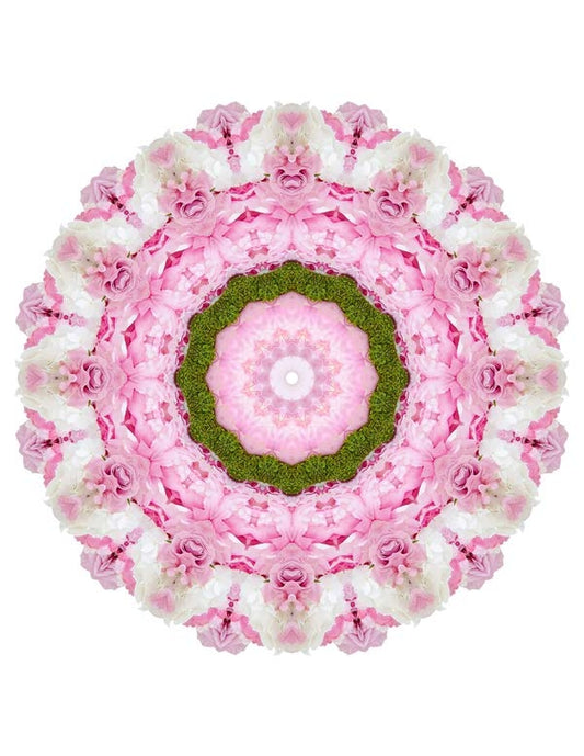 Open Flora - Fractalis 34