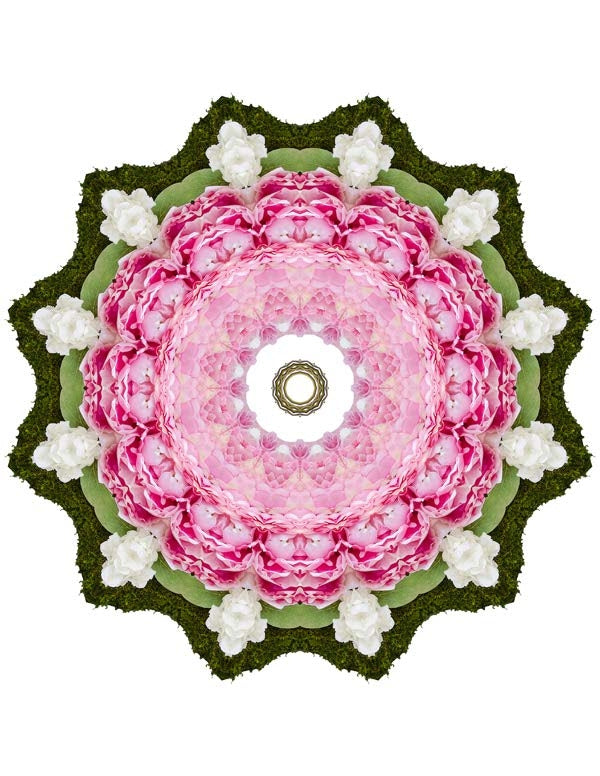 Open Flora - Fractalis 35
