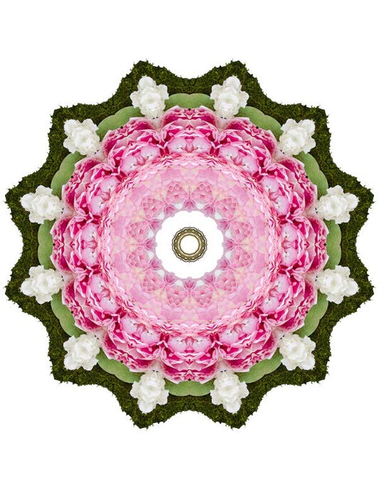 Open Flora - Fractalis 35