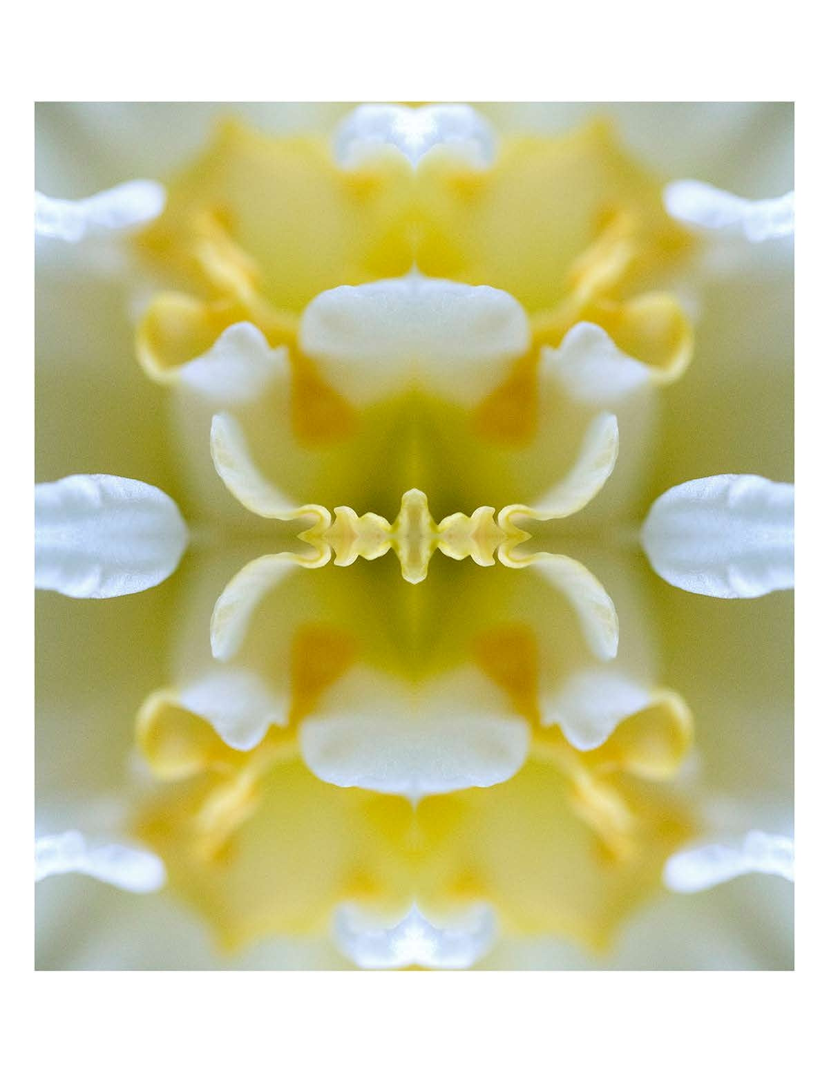 Organic Abstract 36