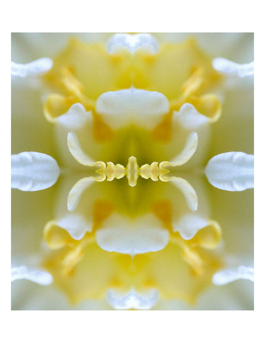 Organic Abstract 36