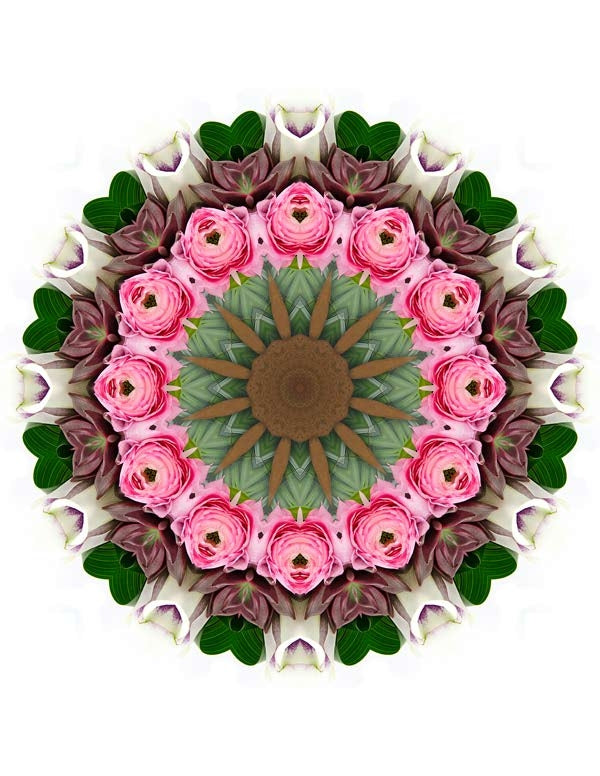 Open Flora - Fractalis 36