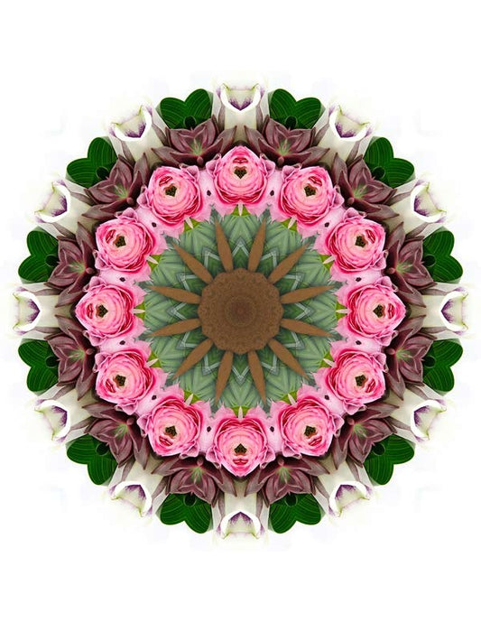 Open Flora - Fractalis 36
