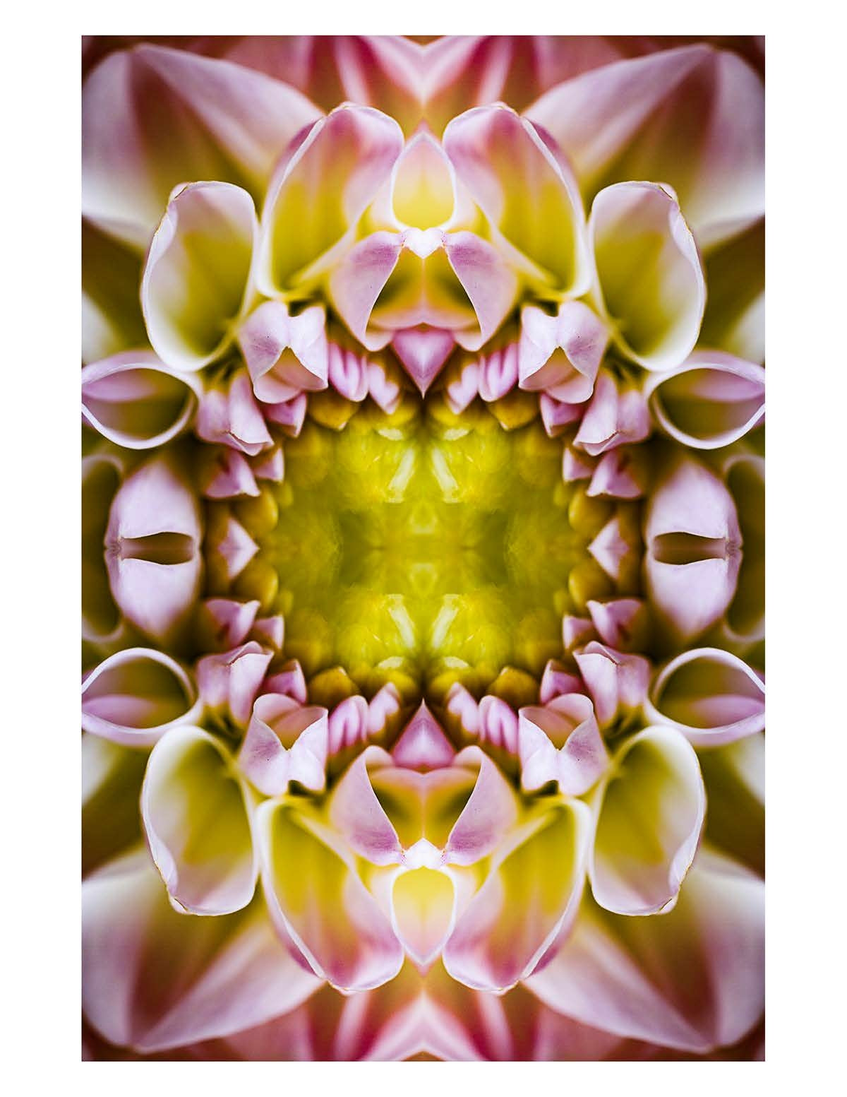 Organic Abstract 37