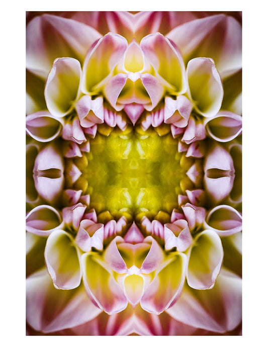 Organic Abstract 37