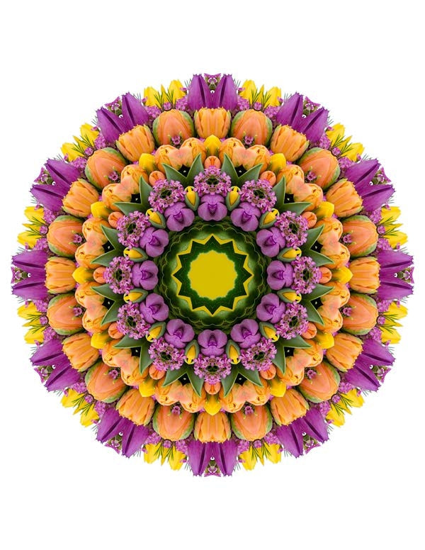 Open Flora - Fractalis 37