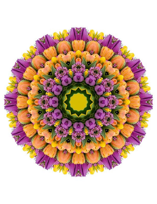 Open Flora - Fractalis 37