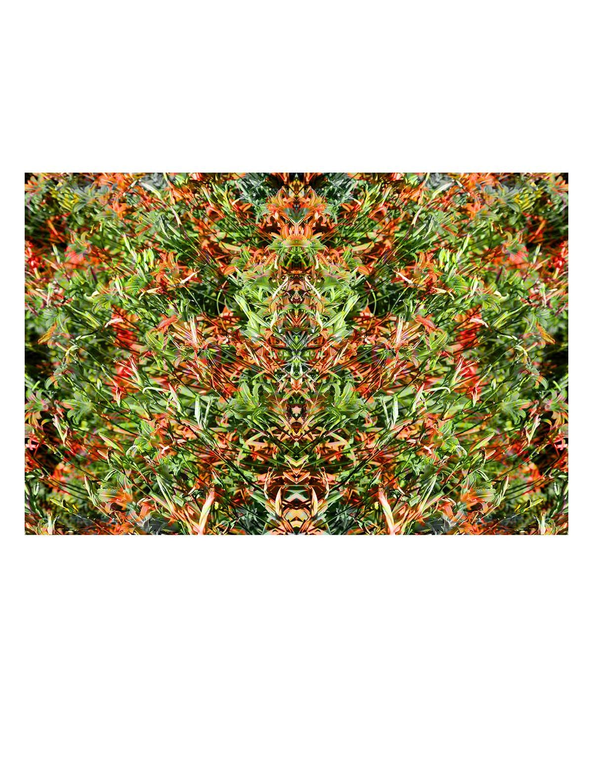 Organic Abstract 38