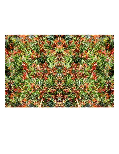 Wild Fractal