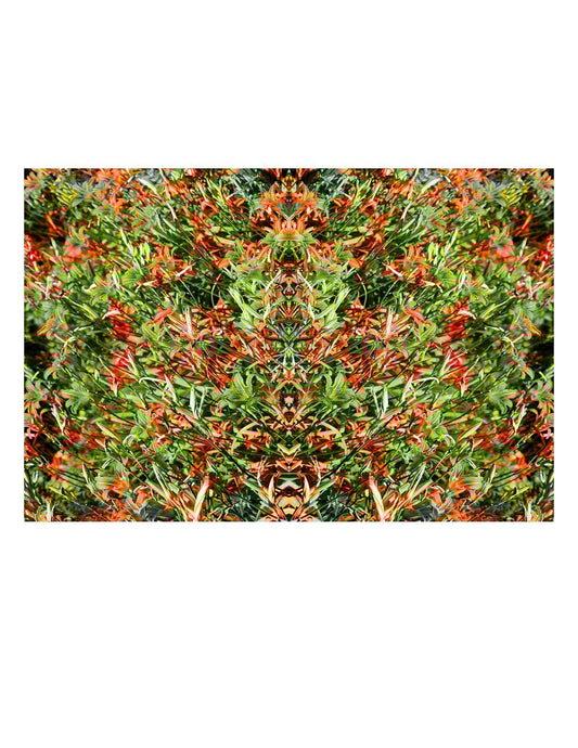 Organic Abstract 38