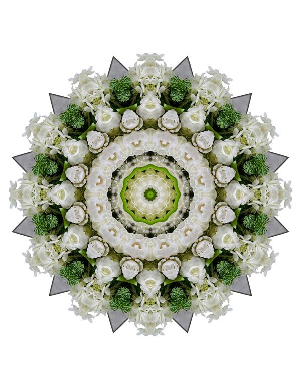 Open Flora - Fractalis 38