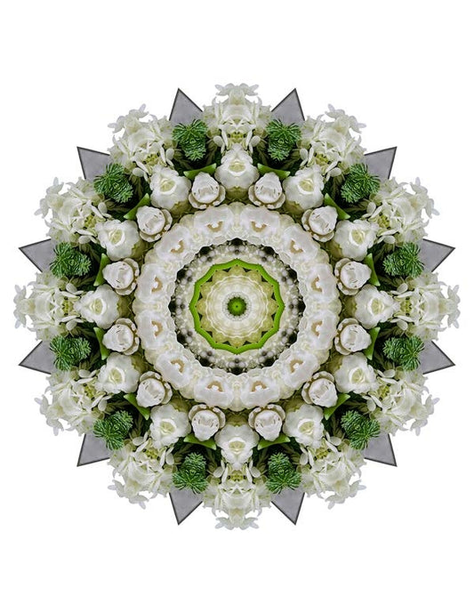 Open Flora - Fractalis 38