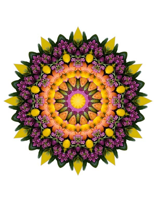 Open Flora - Fractalis 39