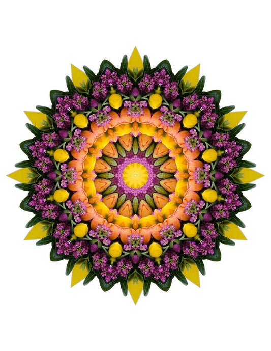 Open Flora - Fractalis 39