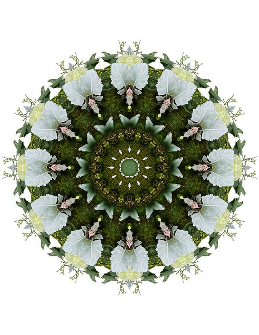 Open Flora - Fractalis 3