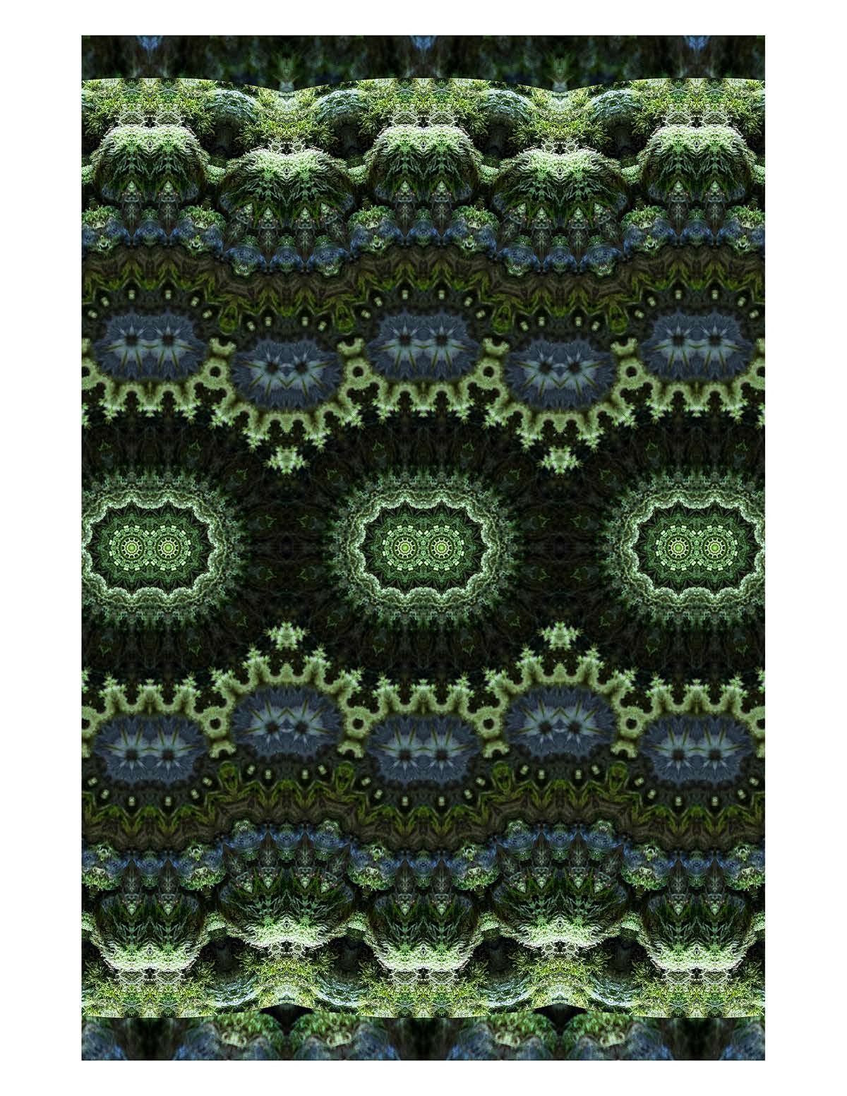 Organic Abstract 40