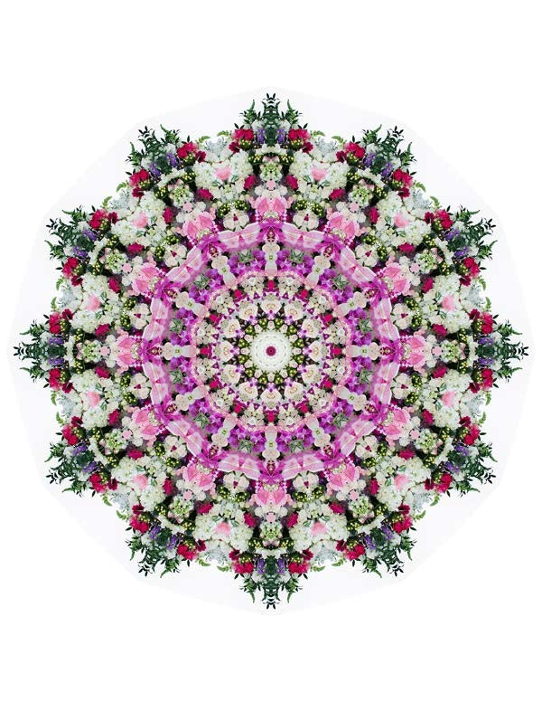 Open Flora - Fractalis 40