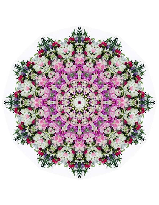 Open Flora - Fractalis 40