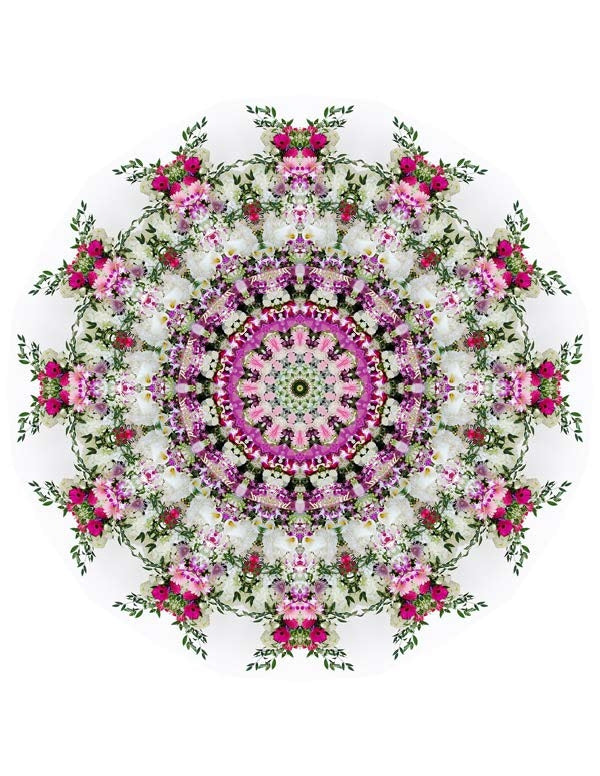 Open Flora - Fractalis 42