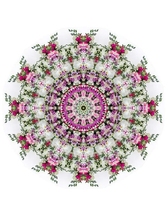 Open Flora - Fractalis 42
