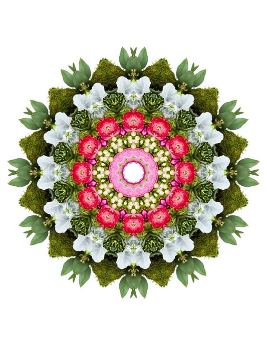 Open Flora - Fractalis 43
