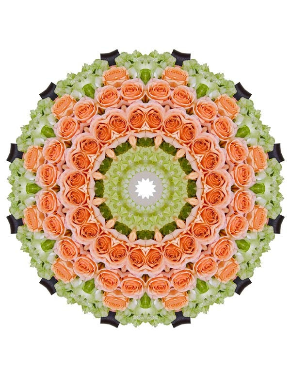 Open Flora - Fractalis 44