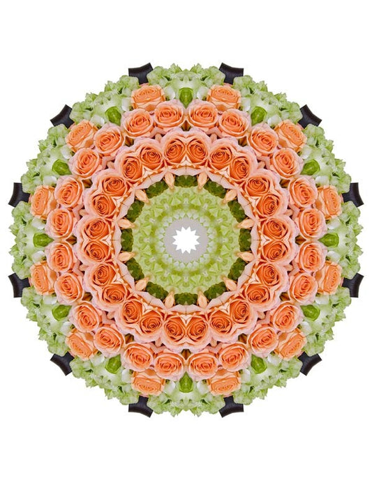 Open Flora - Fractalis 44