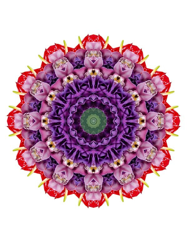 Open Flora - Fractalis 45
