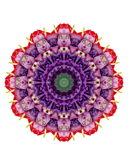 Open Flora - Fractalis 45