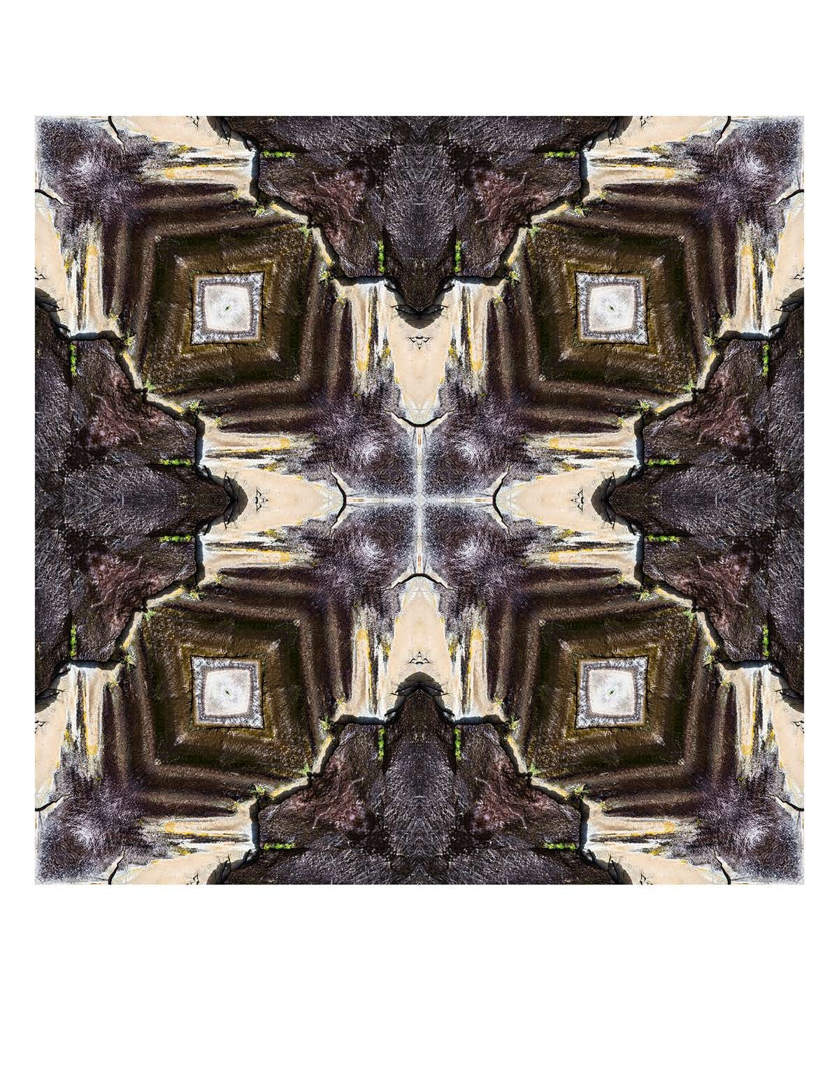 Organic Abstract 46