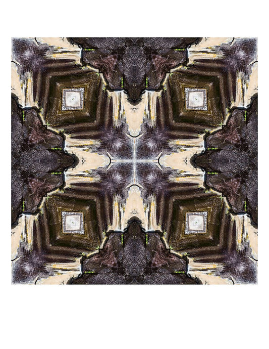 Organic Abstract 46