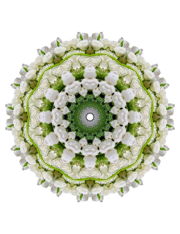 Open Flora - Fractalis 46