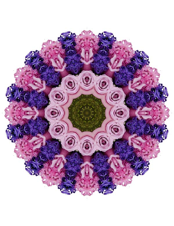 Open Flora - Fractalis 47