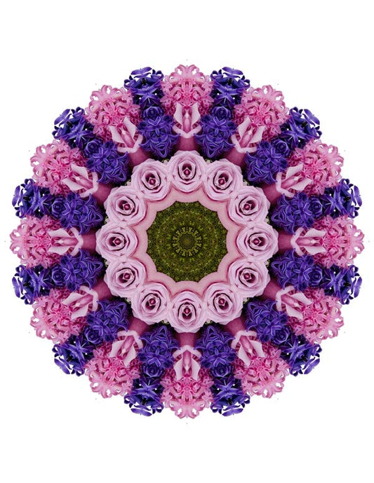 Open Flora - Fractalis 47
