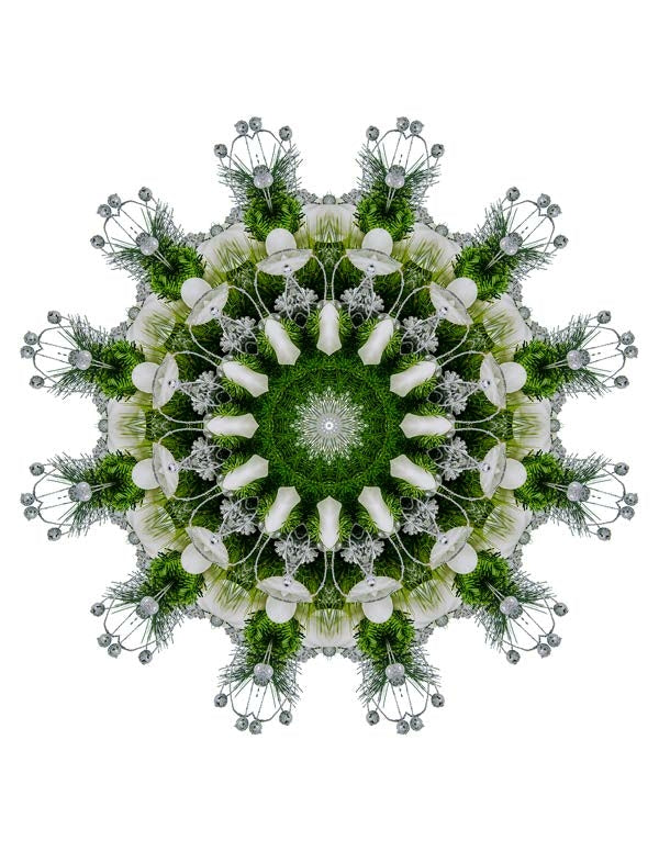 Open Flora - Fractalis 48
