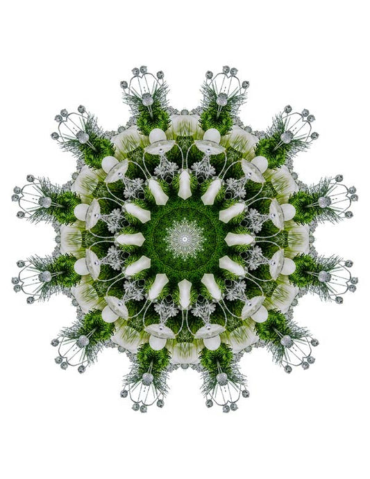 Open Flora - Fractalis 48