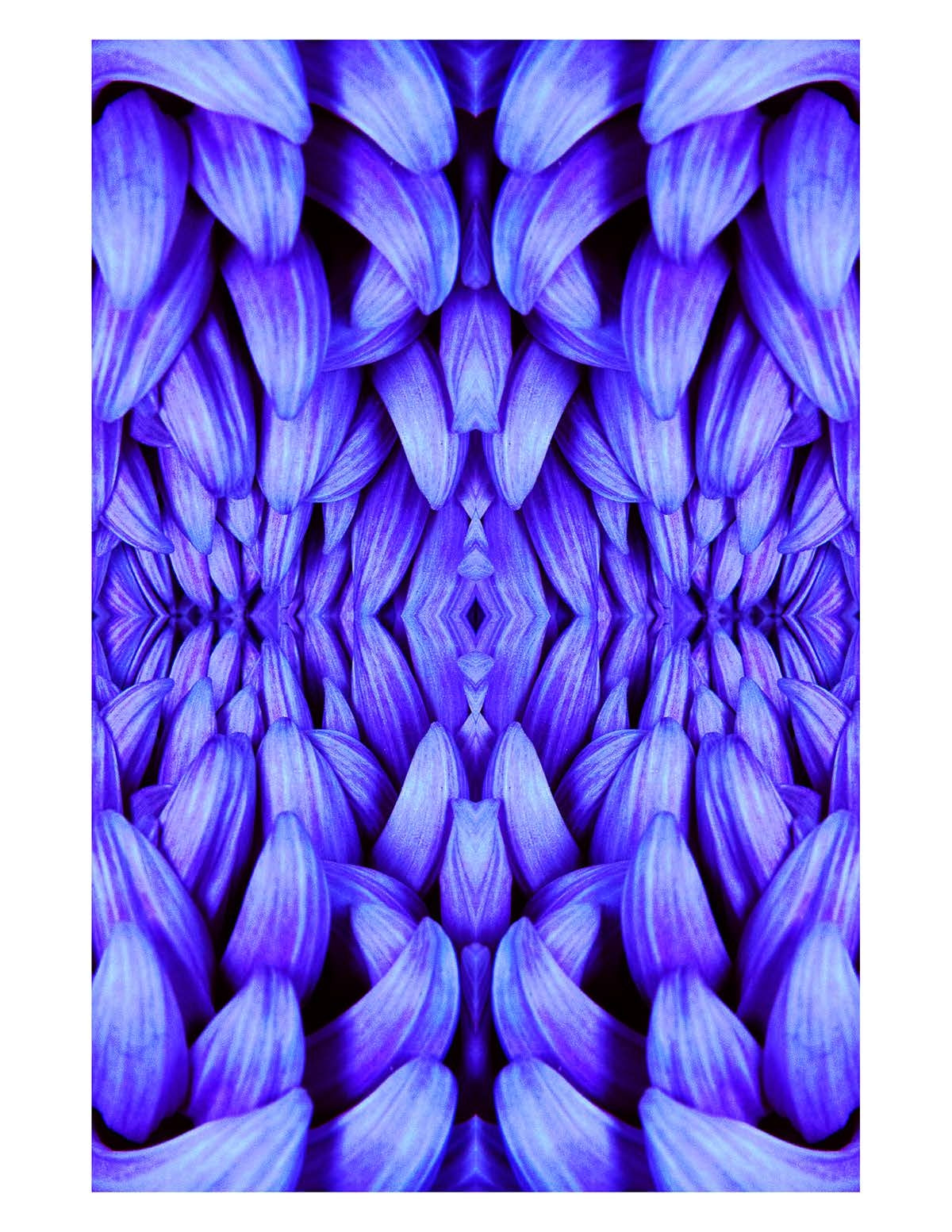 Organic Abstract 4