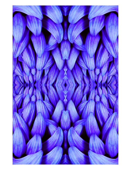 Organic Abstract 4