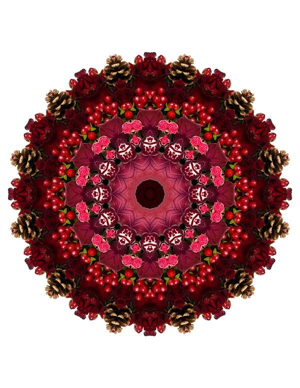 Open Flora - Fractalis 50